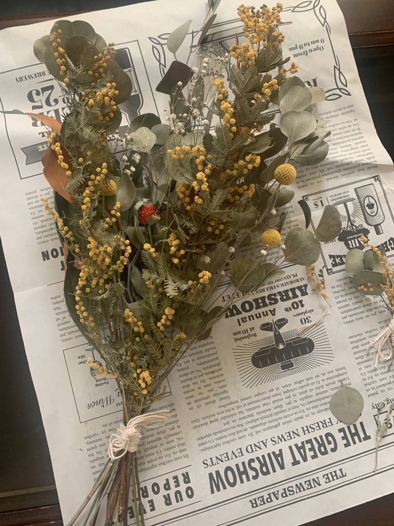 ミモザ ミモザアカシア オフホワイト 01151-011 ドライフラワー卸売り