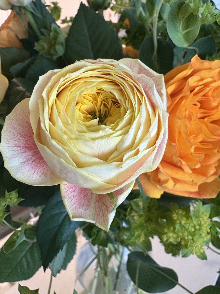 生花】バラ レモンラナンキュラ【黄/40-50cm/愛知県】｜Flower Smith