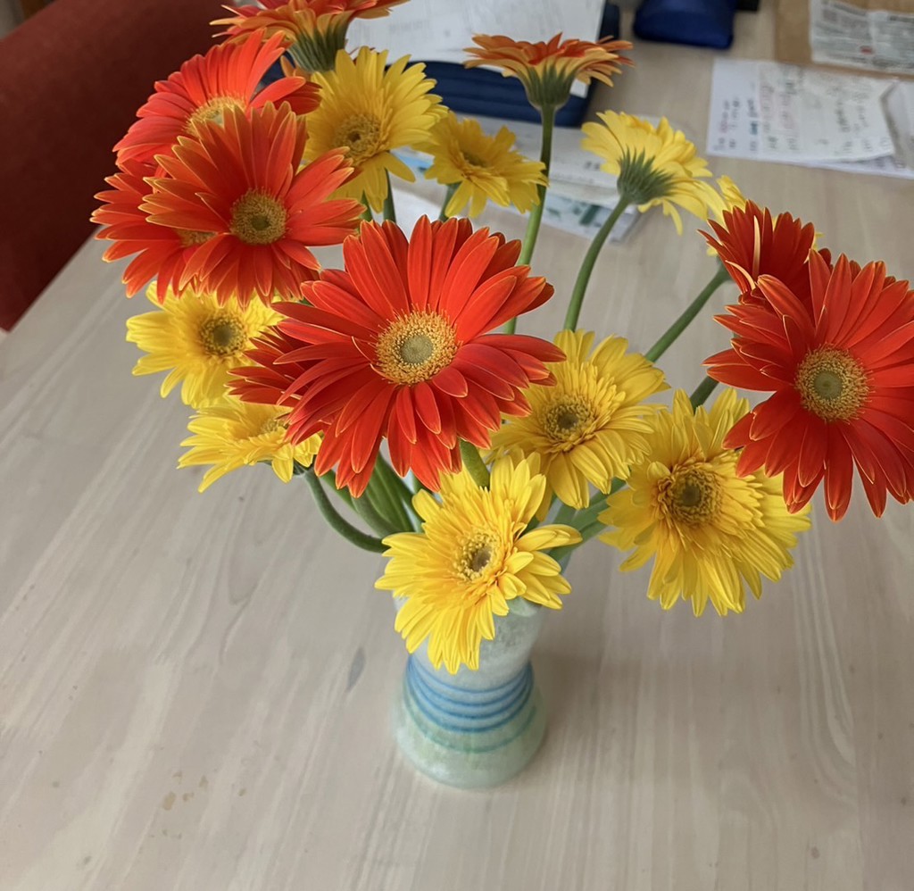 ガーベラです。(売り切れました) 生花】ガーベラ(オレンジ) 品種おまかせ【60cm/静岡県】｜Flower