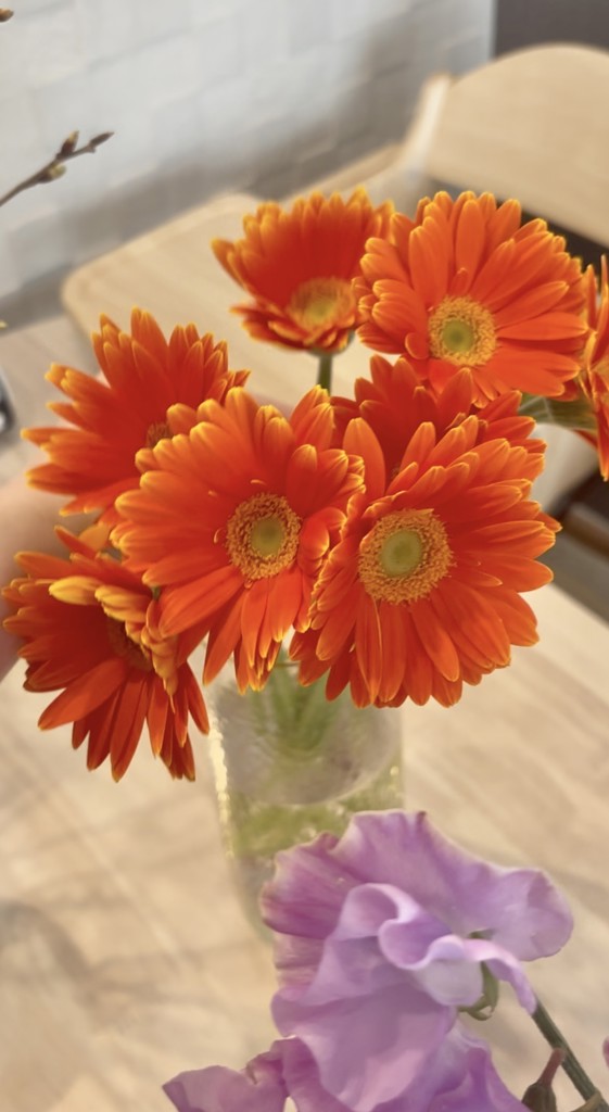 生花】ガーベラ(オレンジ) 品種おまかせ【60cm/静岡県】|Flower Smith 生花】ガーベラ(オレンジ) 品種おまかせ【60cm/静岡県】|Flower Smith