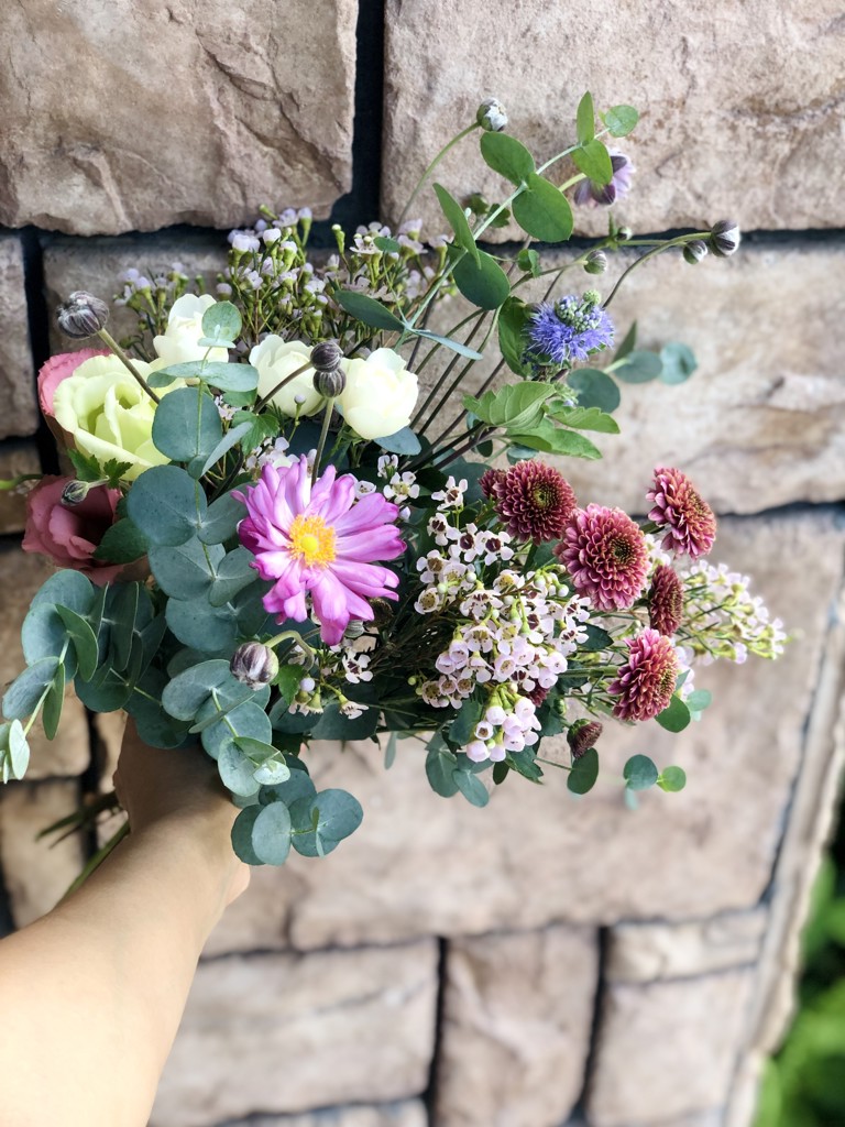 珍味入れ　紫菊葉珍味入れ10客 珍味入れ 紫菊葉珍味入れ10客 楽天市場】菊型珍味の通販