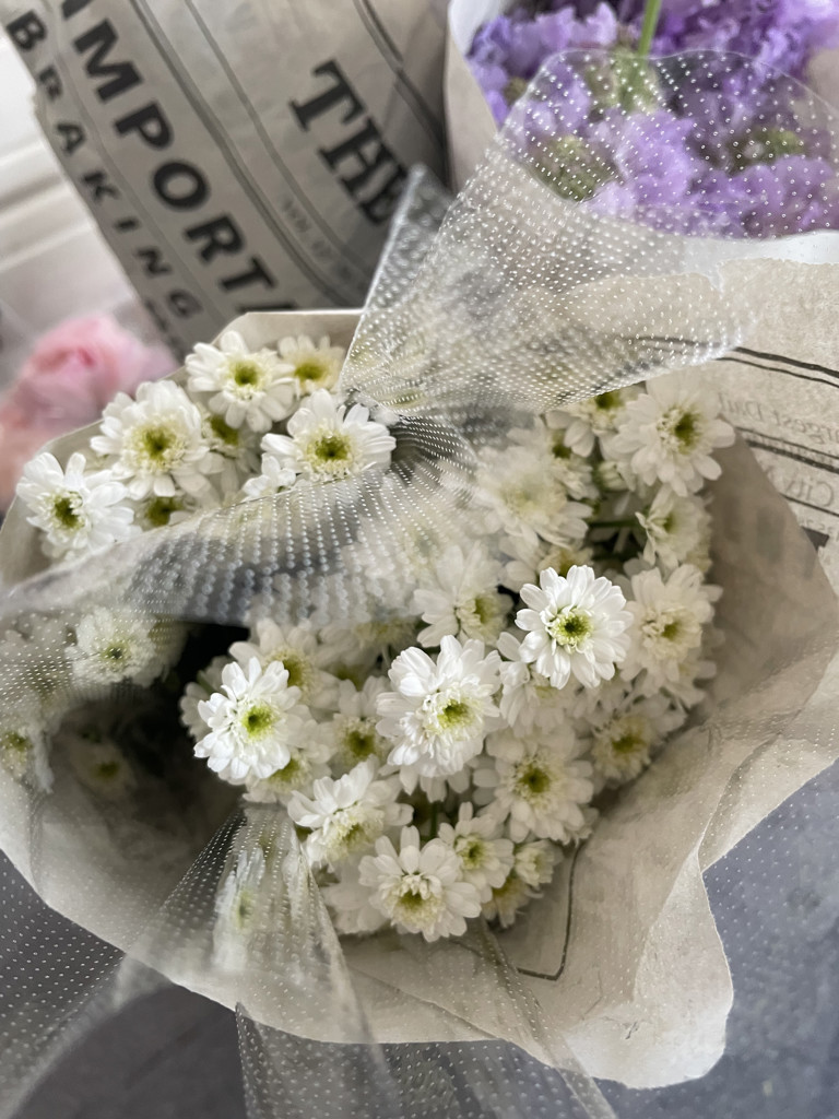 マトリカリア ダブルラテ40本♪染め花押し花✼ドライフラワー✼* 花材