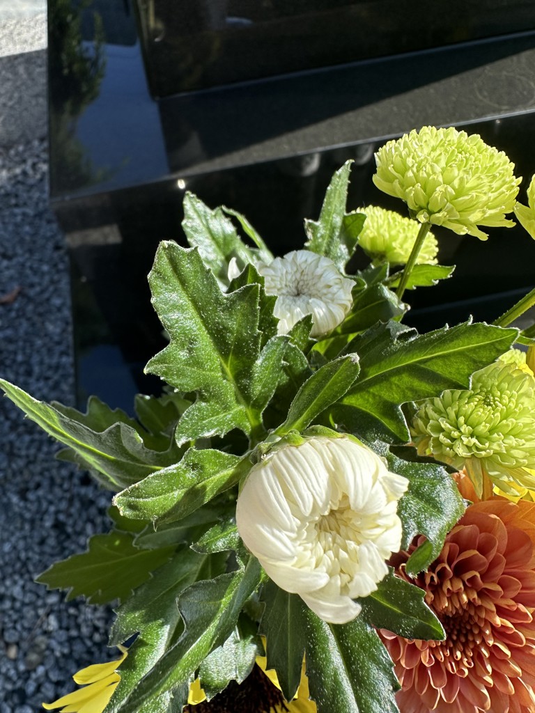 生花】菊(白) 品種おまかせ【80cm/秋田県】｜Flower Smith Market