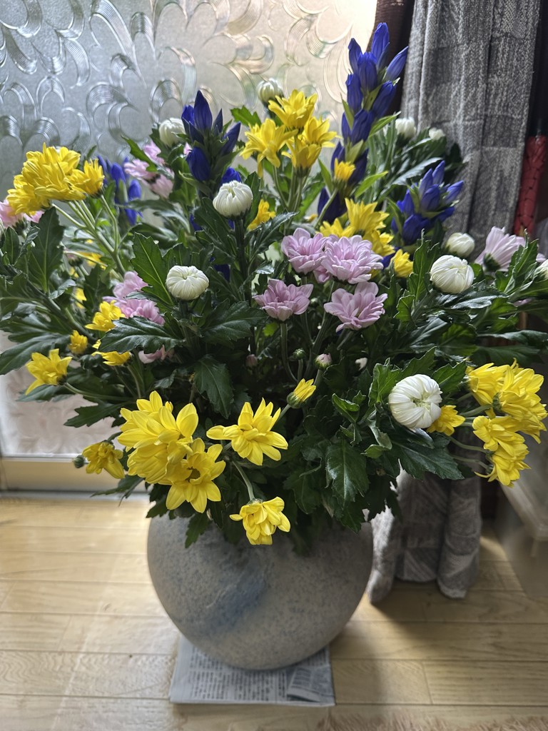 生花】菊(白) 品種おまかせ【80cm/秋田県】｜Flower Smith Market