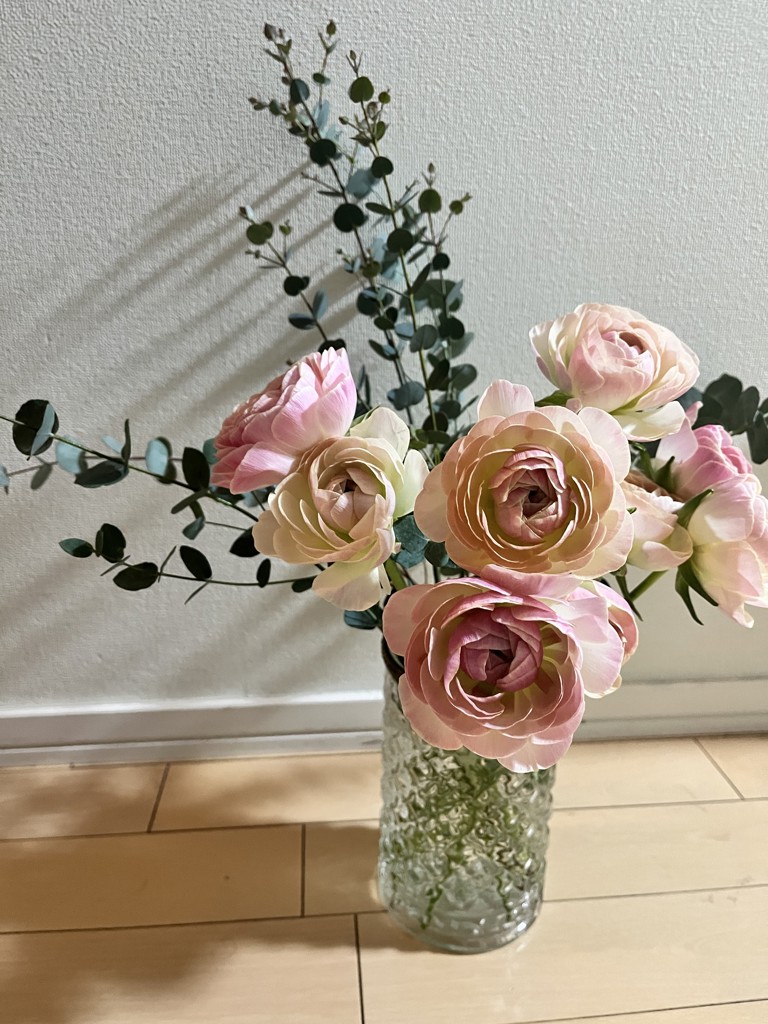 生花】ユーカリ グニユーカリ【緑/60cm/福岡県】｜Flower Smith Market