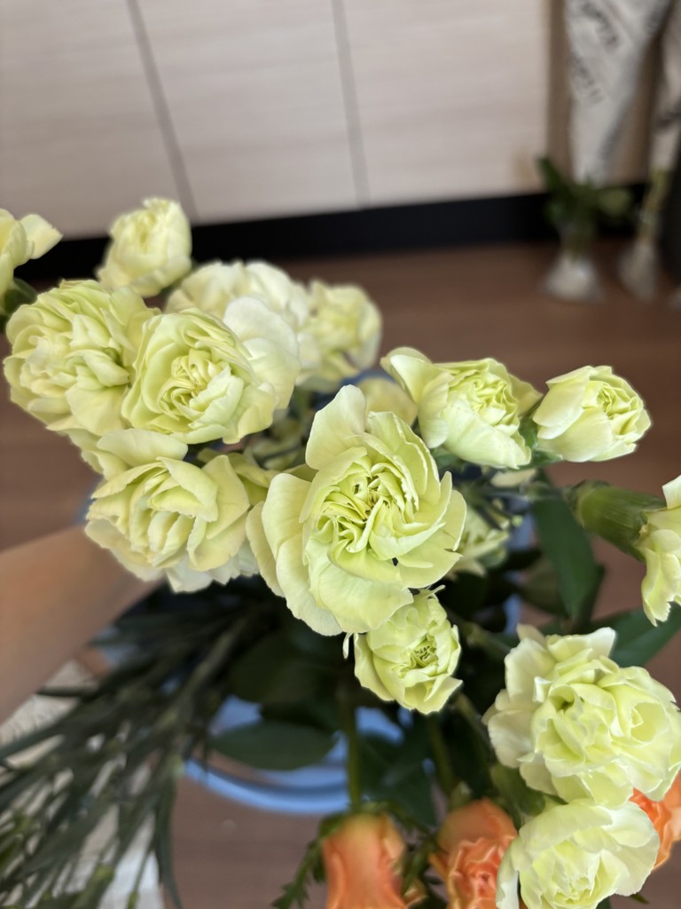 生花】スプレーカーネーション(緑) 品種おまかせ【60cm/エクアドル