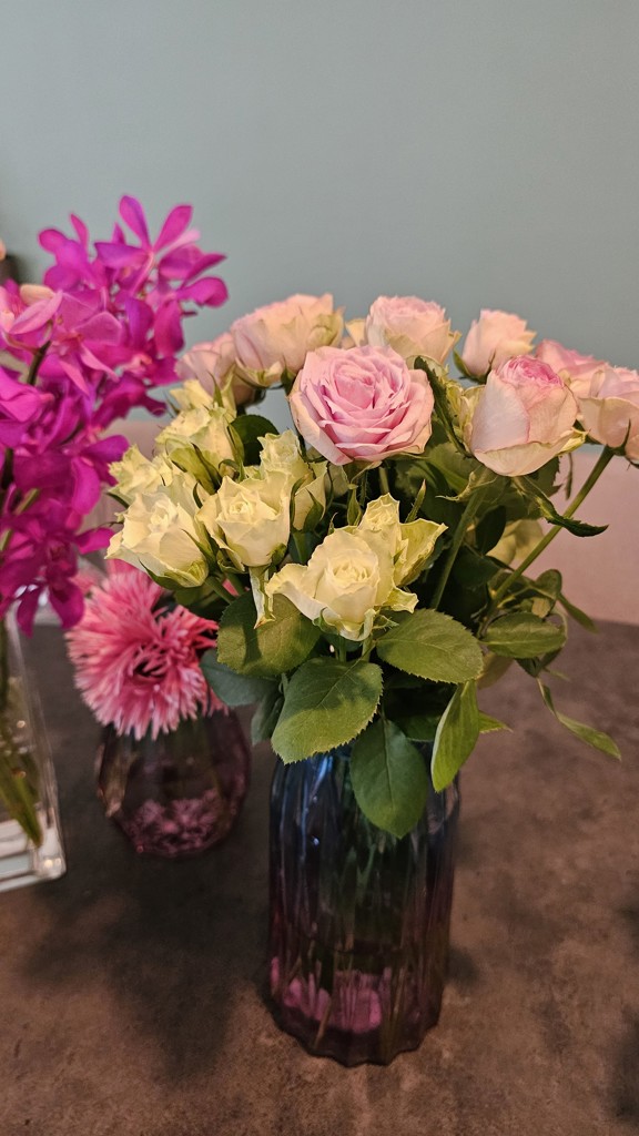 生花】バラ(緑) 品種おまかせ【60cm/静岡県】｜Flower Smith Market