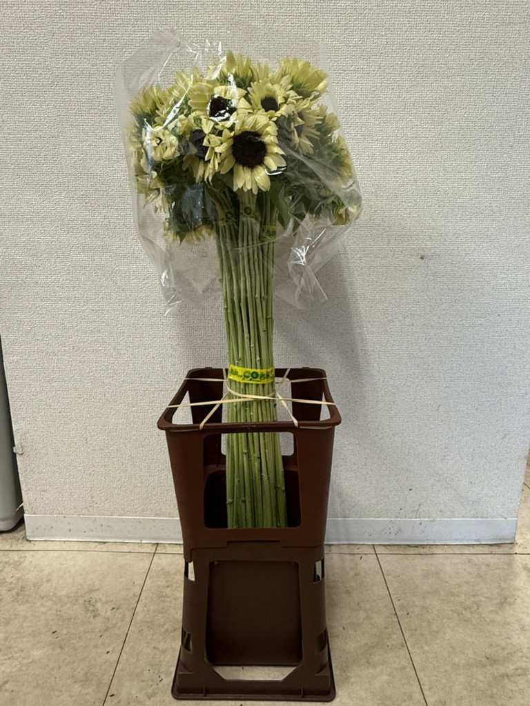 ※ひまわり☆セール中☆プロフ読んで下さい♪様　ご確認用※ ひまわり刺繍額 ヒマワリ 向日葵 夏ギフト 贈り物 ギフト