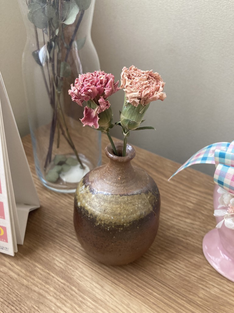 ドライ】カーネーション(ピンク) 品種おまかせ【60cm】｜Flower Smith