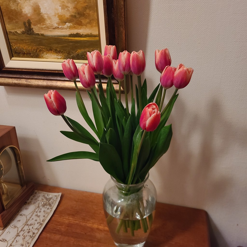 チューリップ50万円です。 No.271 チューリップ口金｜基本の道具｜パン、お菓子の材料