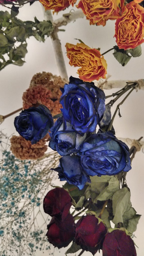 ドライ】バラ(青) 品種おまかせ【60cm】｜Flower Smith Market