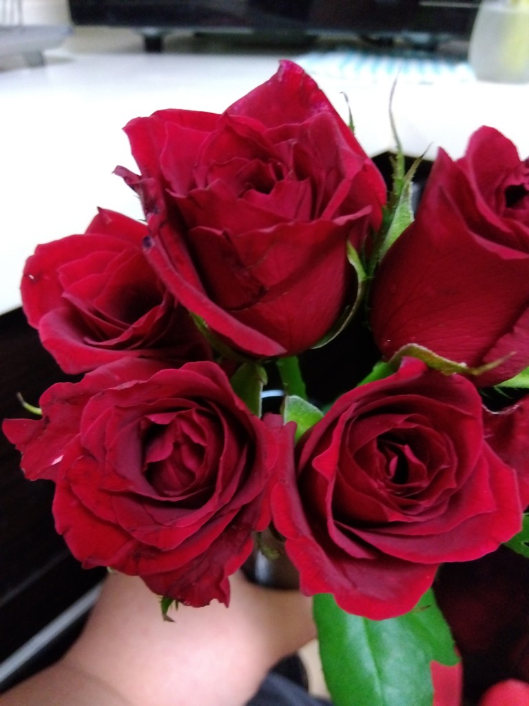 バラ売り 国元商会 KSハシラマン KS ハシラマ まんじゅう 5t・10t兼用