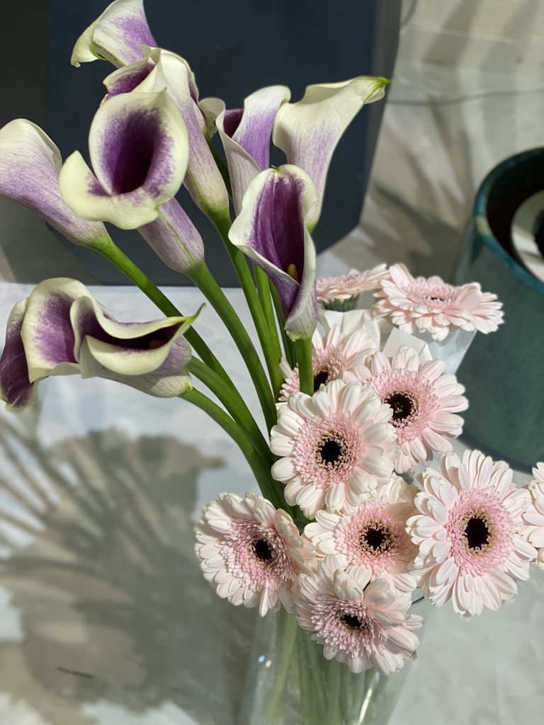 切花　紫陽花　リン　ピカソ　各1本 山紫陽花 
