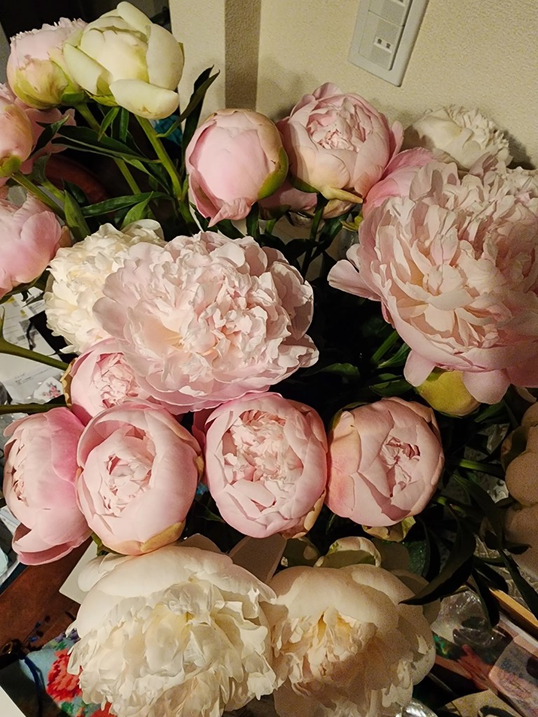 生花】芍薬( 薄ピンク) 品種おまかせ【70-80cm/長野県】｜Flower Smith