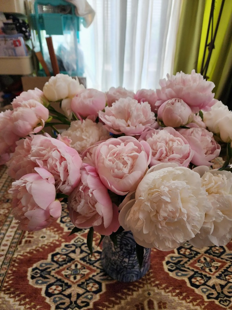 生花】芍薬( 薄ピンク) 品種おまかせ【70-80cm/長野県】｜Flower Smith
