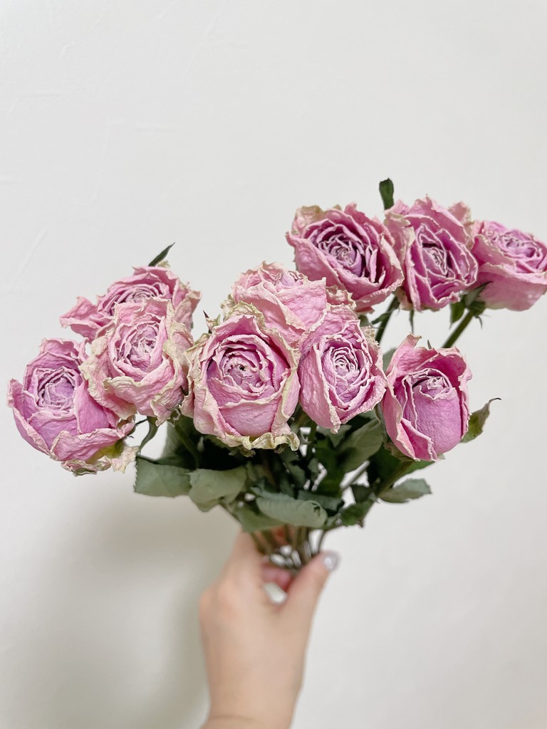 ドライ】バラ(ピンク) 品種おまかせ【40cm】|Flower Smith ドライ】バラ(ピンク) 品種おまかせ【40cm】|Flower Smith