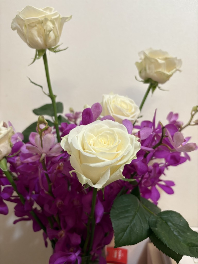 生花】バラ(白) 品種おまかせ【60cm/愛知県】｜Flower Smith
