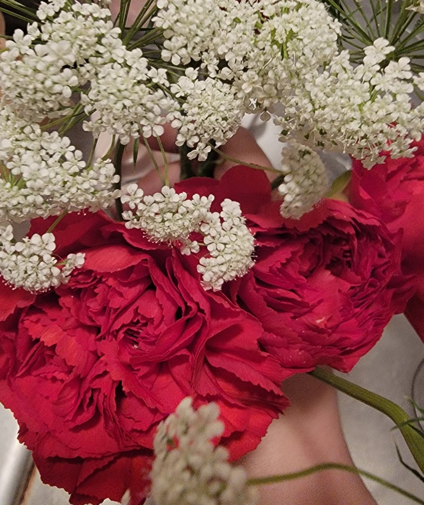 生花】カーネーション(赤) 品種おまかせ【60cm/愛知県】｜Flower Smith