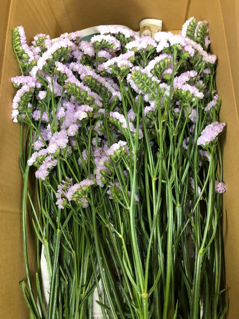 水中花眼鏡スタンド　ドクロ　紫のお花畑 水中花眼鏡スタンド ドクロ 紫のお花畑