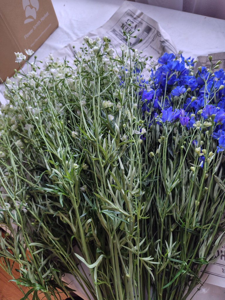 生花】スプレーデルフィニウム(青) 品種おまかせ【70cm/愛知県