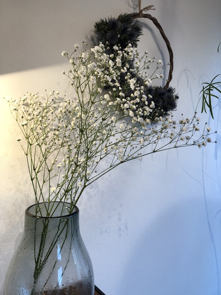 生花】カスミソウ ベールスター【白/45cm/北海道】|Flower 生花】カスミソウ ベールスター【白/45cm/北海道】|Flower