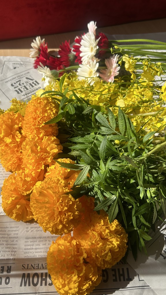 生花】マリーゴールド(オレンジ) 品種おまかせ【60cm/福島県】｜Flower