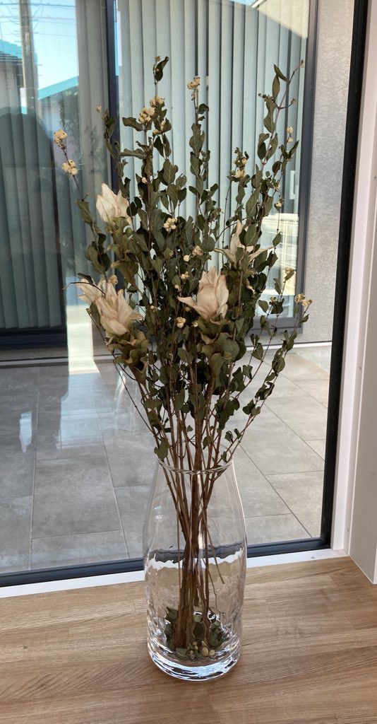 ドライ】クルクマ(白) 品種おまかせ【70cm】｜Flower Smith Market