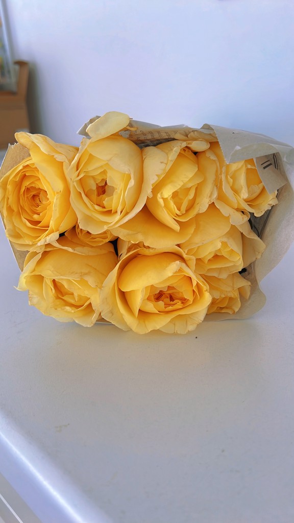 生花】バラ ジャンヌダルク【黄/50cm/愛知県】｜Flower Smith Market