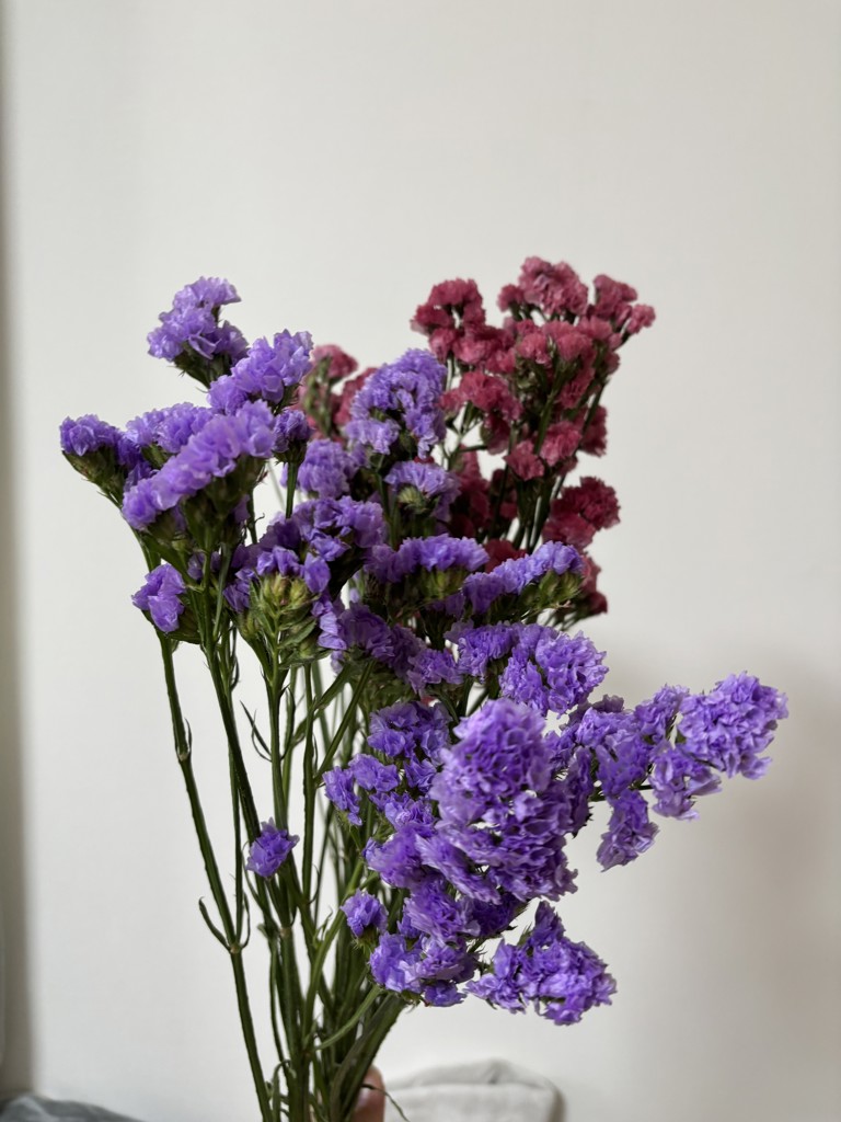 生花】スターチス(薄紫) 品種おまかせ【50cm/千葉県】｜Flower Smith