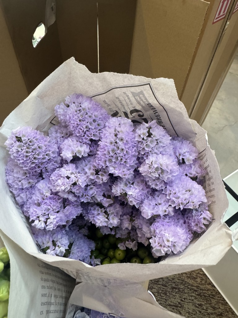 生花】スターチス(薄紫) 品種おまかせ【50cm/千葉県】｜Flower Smith
