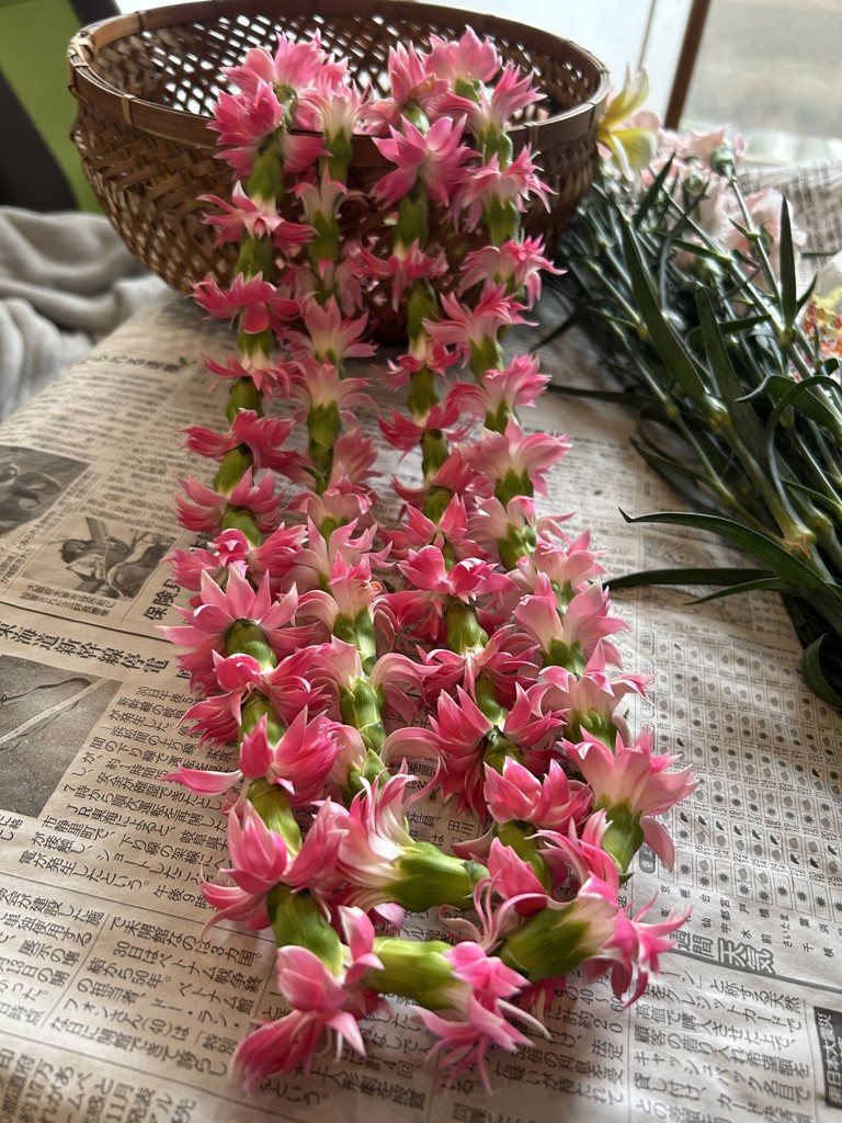 生花】スターチスの品種（種類）一覧｜Flower Smith Market