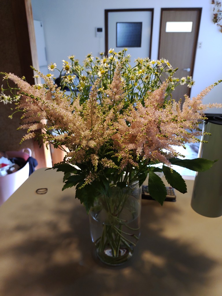 生花】アスチルベ ライトピンク【50cm/長崎県】｜Flower Smith Market