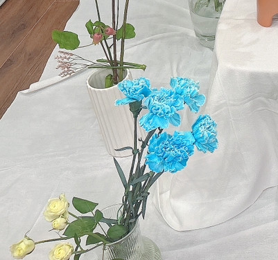 生花】カーネーション ティントブルー【水色/60cm/コロンビア