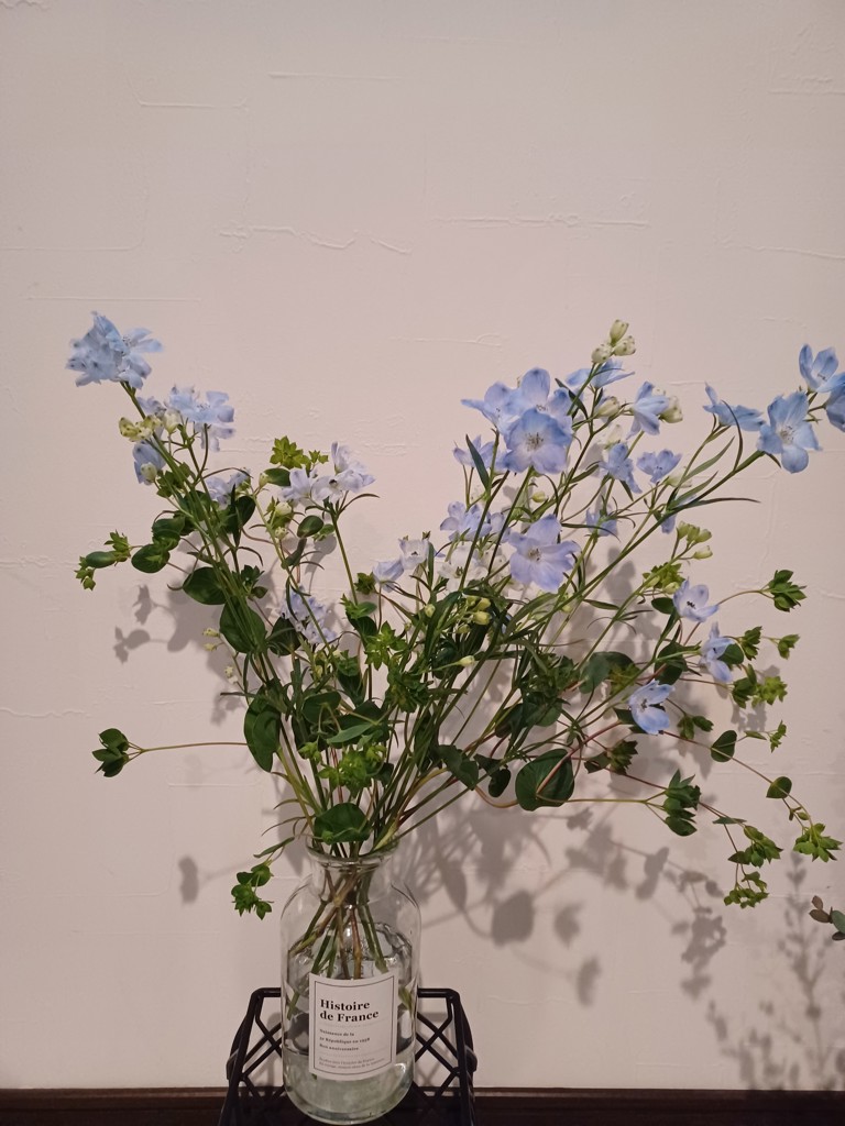 生花】スプレーデルフィニウム プラチナブルー【水色/50cm/愛知県