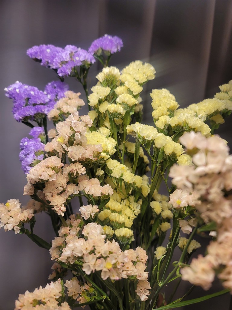 アプリコット色のスターチスとラナンキュラス 花冠のようなリース(縦約25cm) アプリコット色のスターチスとラナンキュラス 花冠のような