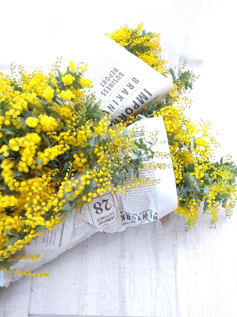 生花】ミモザ(アカシア)【黄/50cm/静岡県】｜Flower Smith Market