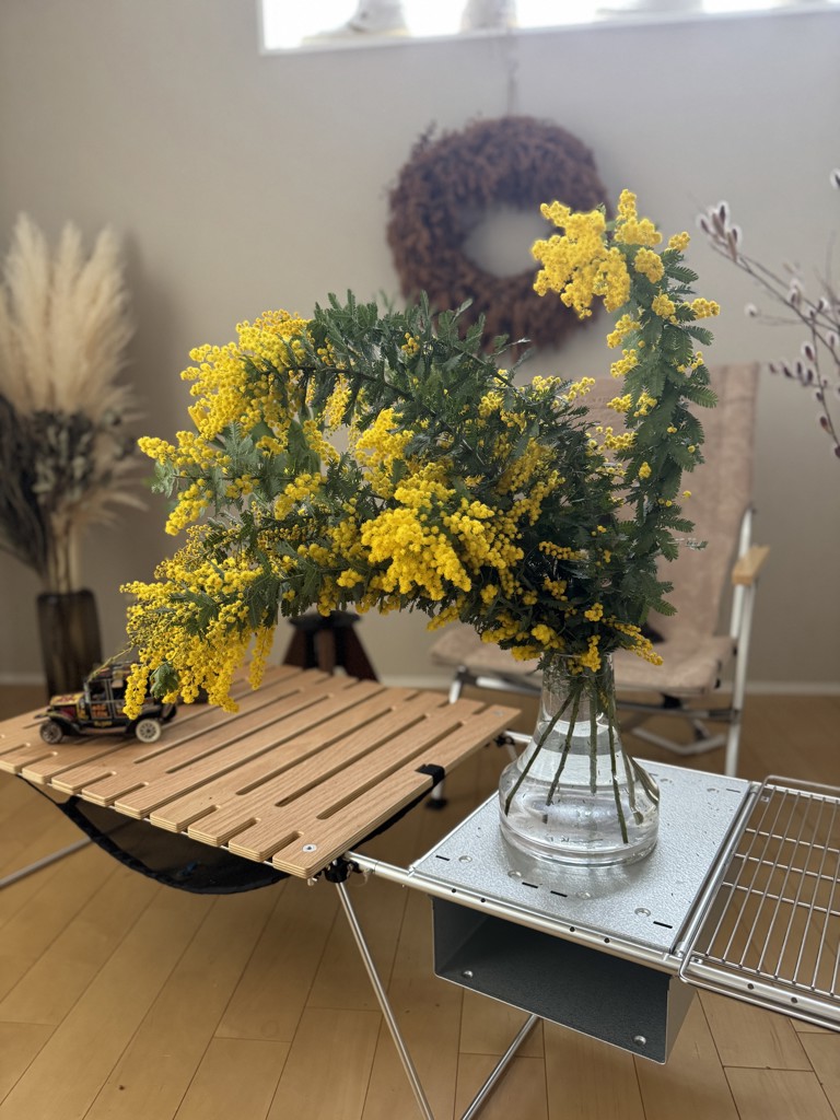 生花】ミモザ(アカシア)【黄/60-70cm/静岡県】｜Flower Smith Market