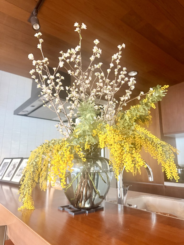 ご予約終了致しました。問合せ専用ページ　　✿ミモザアカシア 生花 フレッシュ☘ ご予約終了致しました。問合せ専用ページ ✿ミモザアカシア 生花