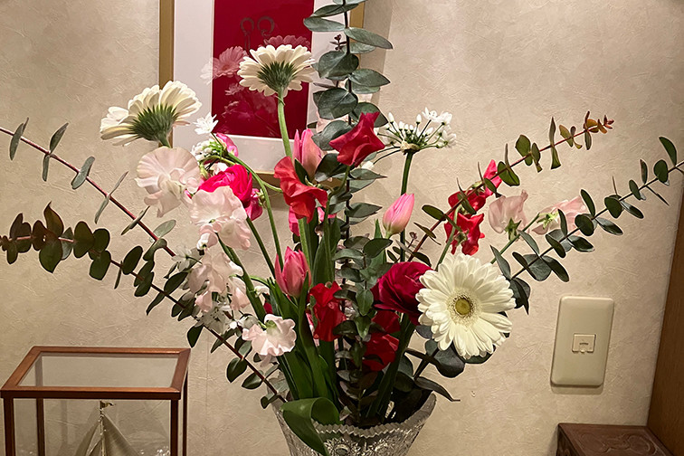 生花】ガーベラ(白) 品種おまかせ【60cm/神奈川県】|Flower 生花】ガーベラ(白) 品種おまかせ【60cm/神奈川県】|Flower