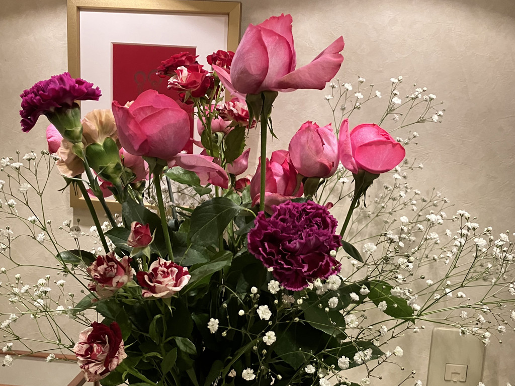 ドライフラワー】リューカデンドロンの品種(種類)一覧|Flower ドライフラワー】リューカデンドロンの品種(種類)一覧|Flower