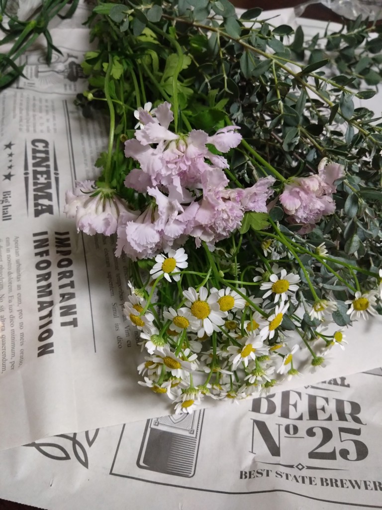 生花】スカビオサ(薄紫) 品種おまかせ【30-40cm/千葉県】｜Flower