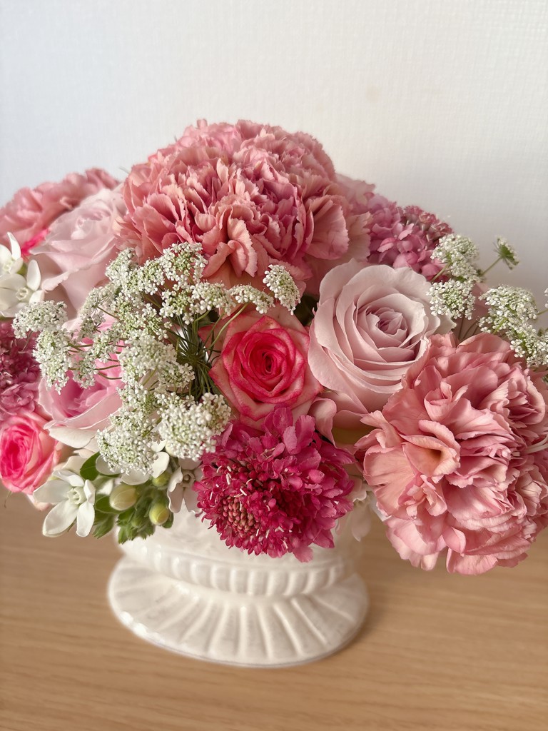 生花】スカビオサ サーモンピンク【40-50cm/長崎県】｜Flower Smith
