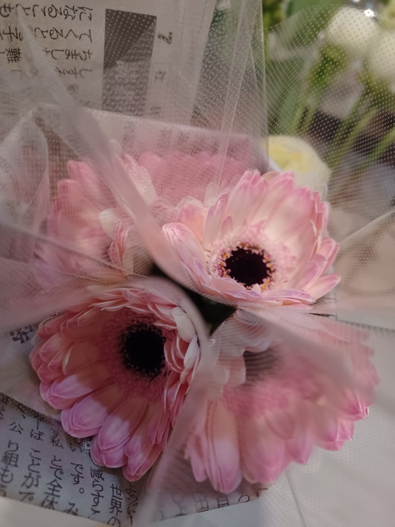 MARNIマルニ 発色のこの上なく美しいピンクのガーベラ スプリング コート★ 定価150,700円(税込)MARNI -マルニ- マルニらしさ溢れる