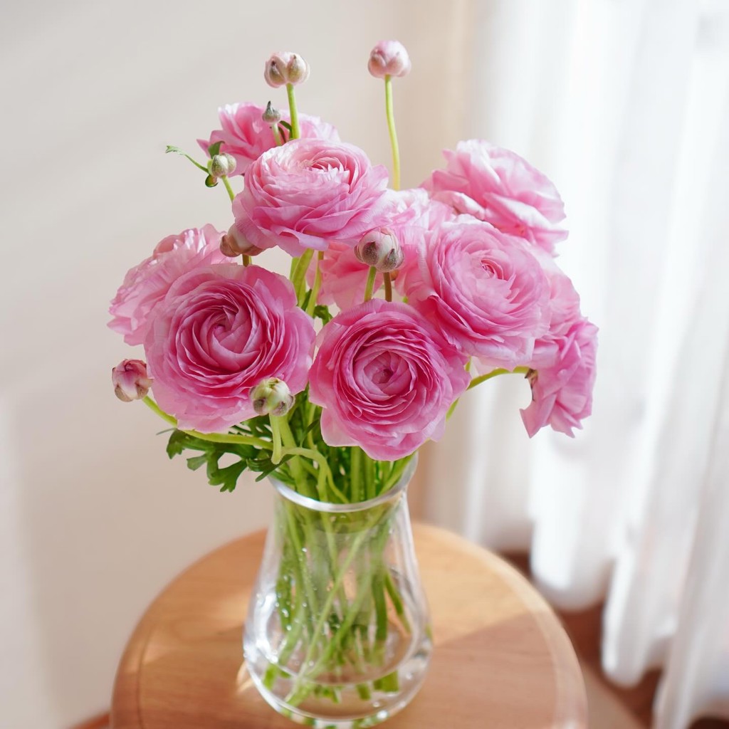 生花】ラナンキュラス(ピンク) 品種おまかせ【50cm/長野県】｜Flower