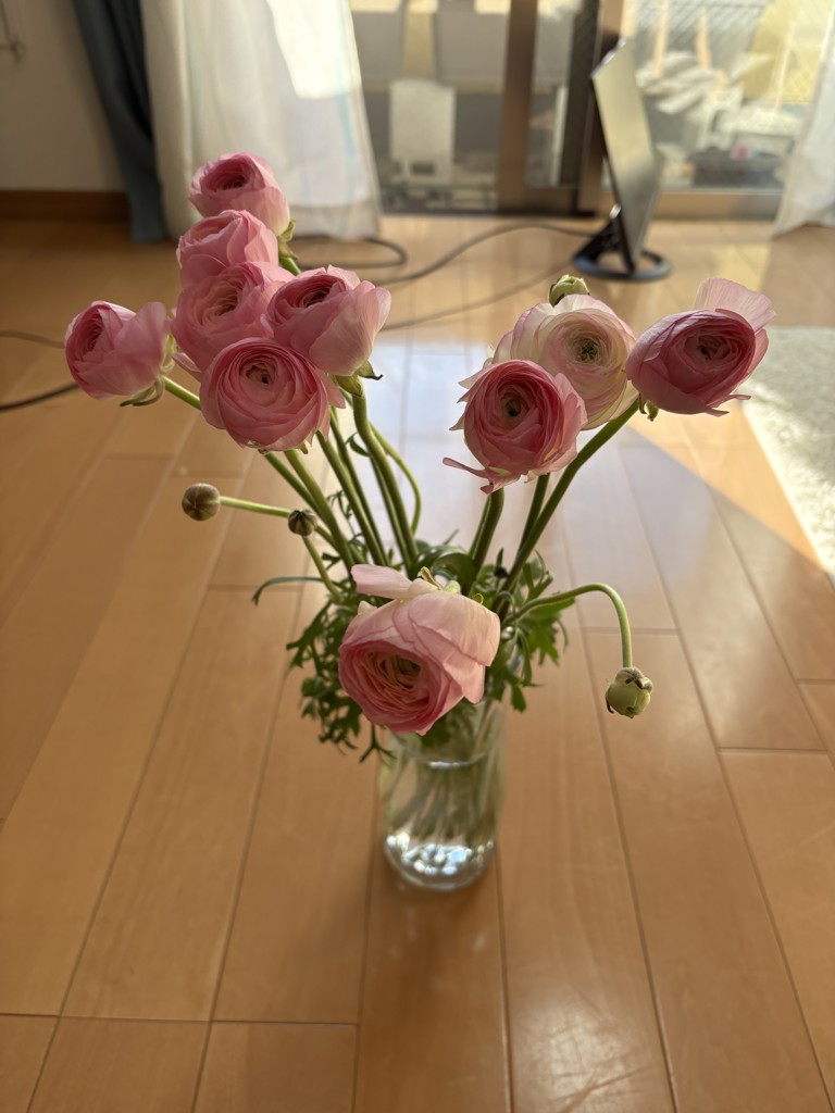 生花】ラナンキュラス(ピンク) 品種おまかせ【50cm/長野県】｜Flower