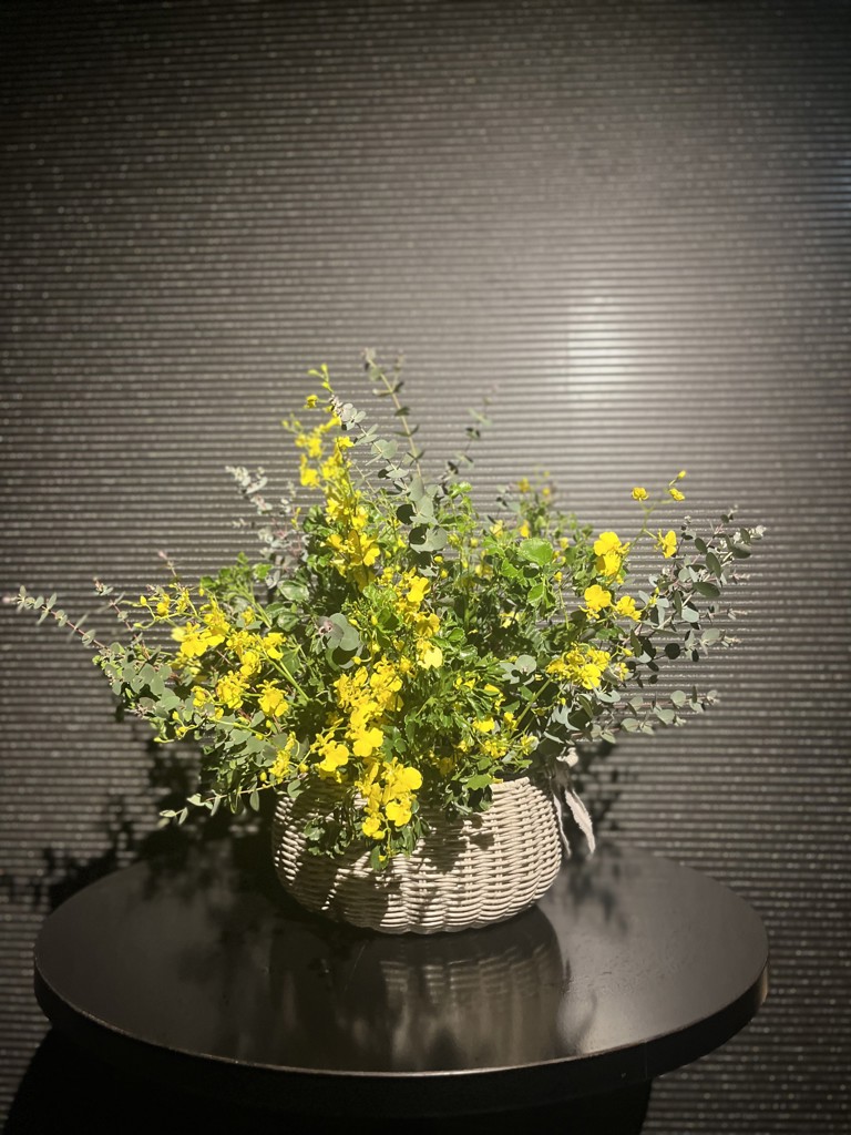 生花】ユーカリ グニユーカリ【緑/60cm/福岡県】｜Flower Smith Market