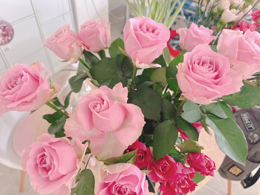 生花】バラ ピンクアヴァランチェ＋【60cm/愛知県】｜Flower Smith