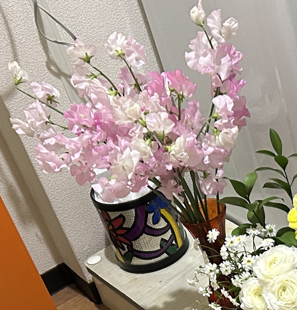 【期間限定最終お値下げ】スイートピー2.5㎝フープ ベビーピンク淡水パール14㎜ 生花】スイートピー(薄ピンク) 品種おまかせ【45cm/愛知県