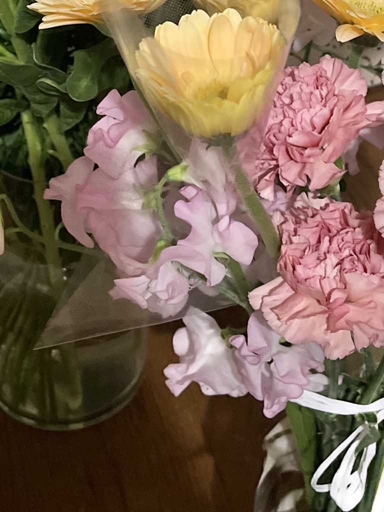生花】スイートピー(薄ピンク) 品種おまかせ【45cm/愛知県】｜Flower