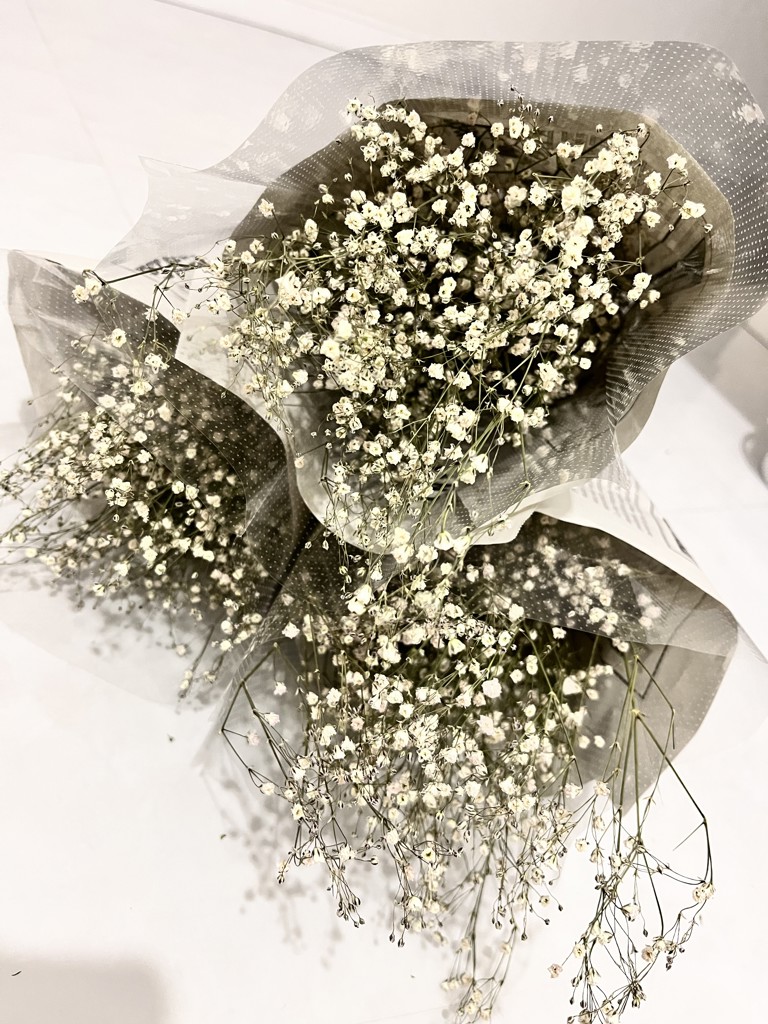 ドライ】カスミソウ ベールスター【白/60cm】｜Flower Smith Market